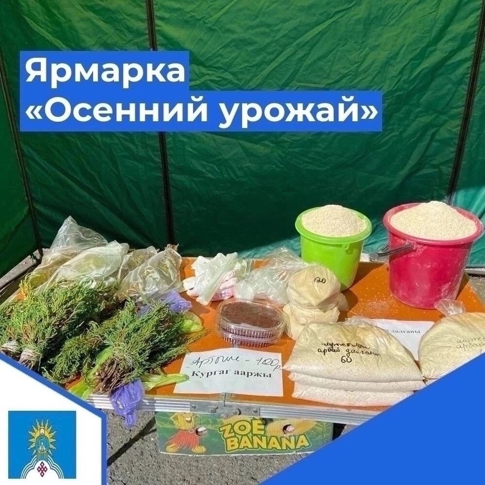 1 ноября в 09:00 часов с.Кызыл-Мажалык на площади имени хун нояна Буяна Бадыргы состоится ярмарка "Осенний урожай сельхозтоваропроизводителей".