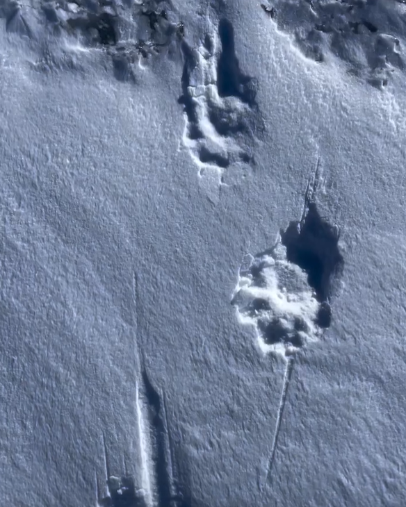 Субботнее видео от любителей гор