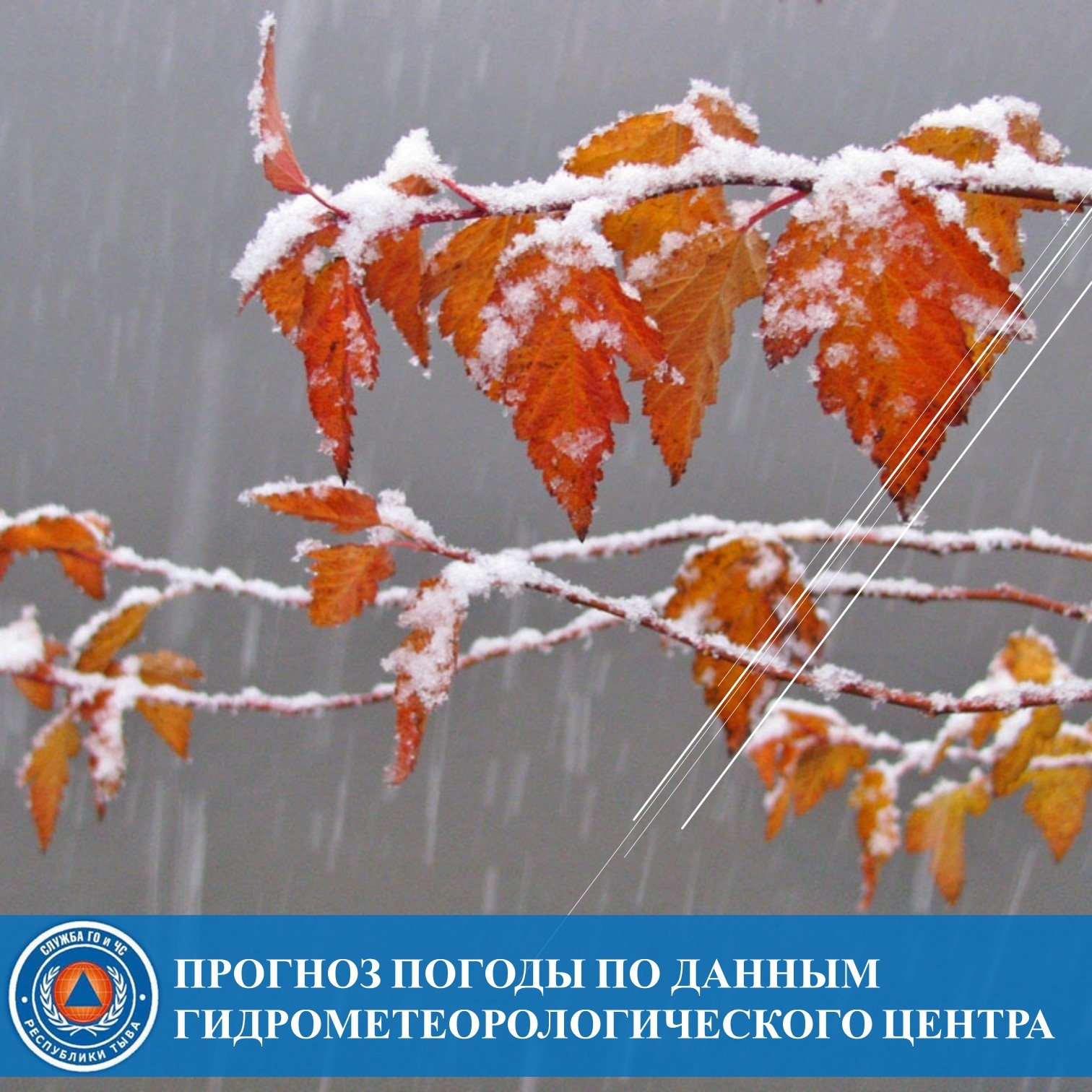 Прогноз погоды на 6 ноября по данным ТУВИНСКОГО ГИДРОМЕТЕОРОЛОГИЧЕСКОГО ЦЕНТРА